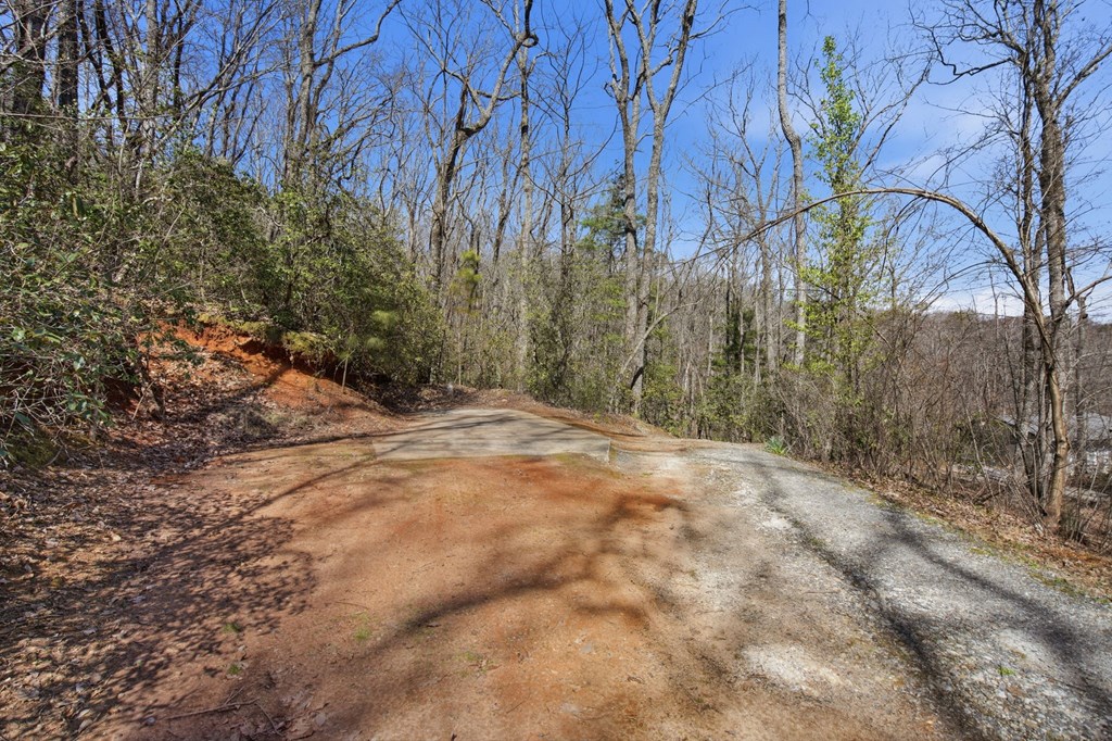 550 Bear Gap Road Clarkesville, GA 30523 - Photo 40 of 47 Gallery Image 40
