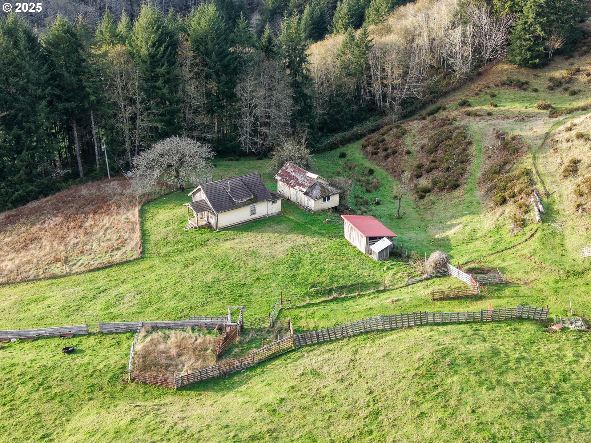 96312 Shutters Creek Road North Bend, OR 97459 - Photo 3 of 26