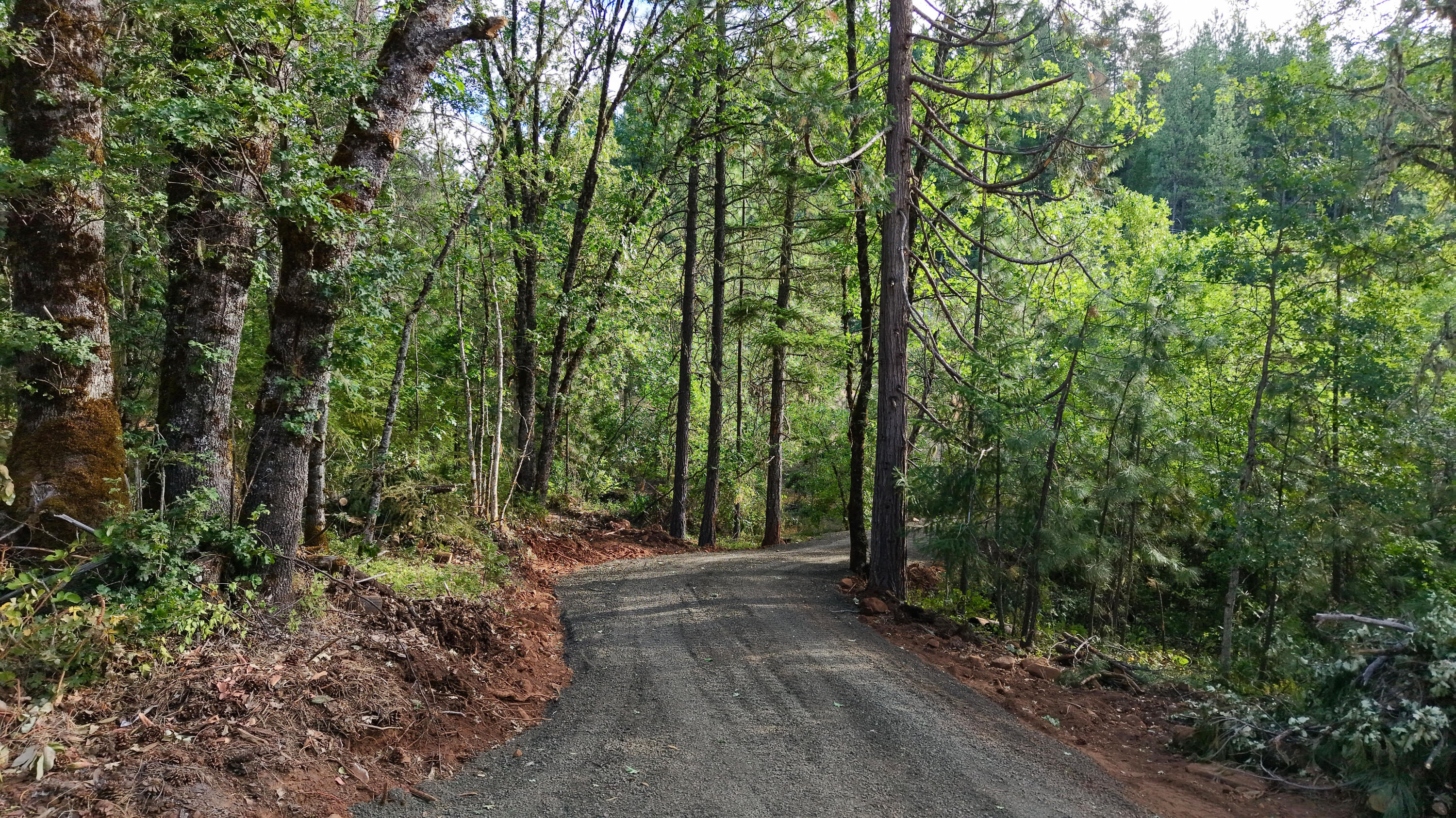 769 Mather Road Prospect, OR 97536 - Photo 42 of 70 Road into Property