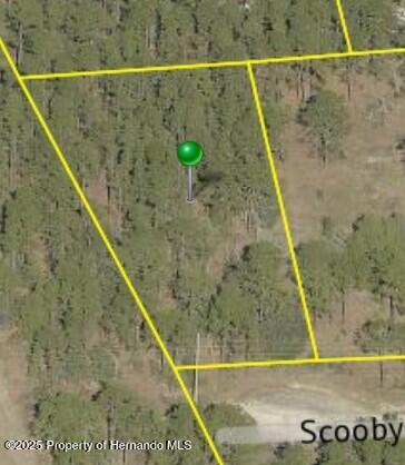 . Scooby Road Brooksville, FL 34604 - Photo 4 of 7