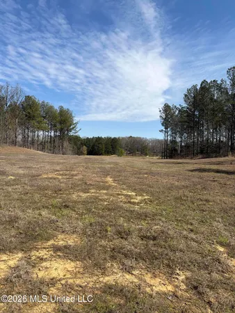 $94,000 | 35 Deerwood Dr Lake, Lake Cormorant, MS 38641
