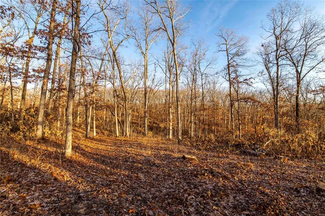 $530,000 | 0 Pike 132, Bowling Green, MO 63334