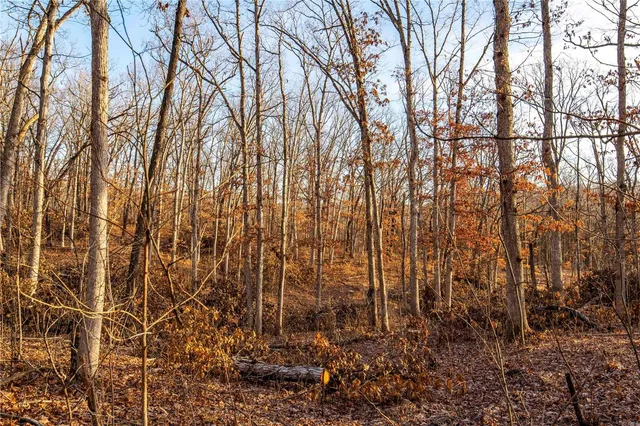 $530,000 | 0 Pike 132, Bowling Green, MO 63334