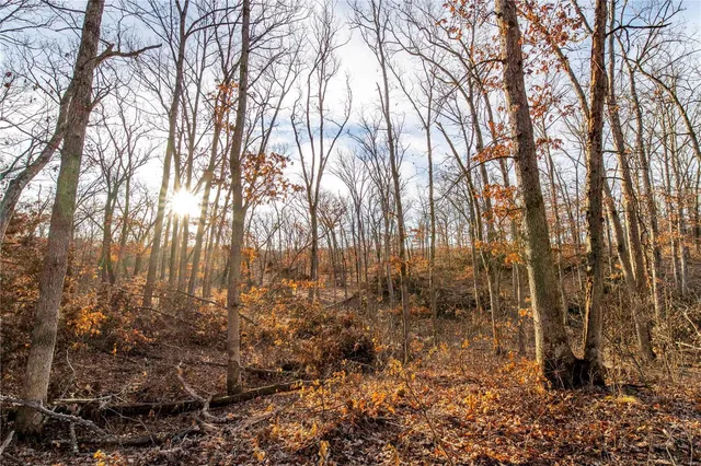 $530,000 | 0 Pike 132, Bowling Green, MO 63334