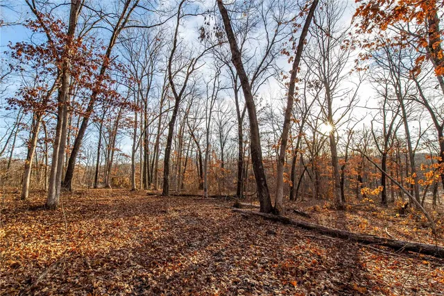 $530,000 | 0 Pike 132, Bowling Green, MO 63334