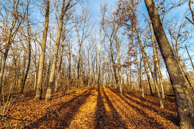 $530,000 | 0 Pike 132, Bowling Green, MO 63334