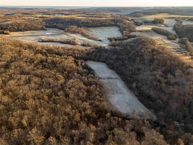 $530,000 | 0 Pike 132, Bowling Green, MO 63334