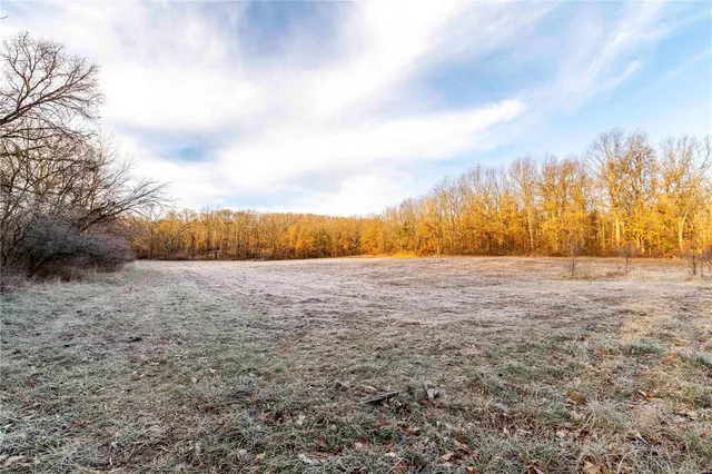 $530,000 | 0 Pike 132, Bowling Green, MO 63334