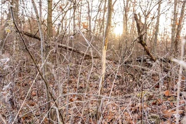 $530,000 | 0 Pike 132, Bowling Green, MO 63334