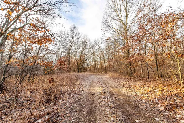 $530,000 | 0 Pike 132, Bowling Green, MO 63334