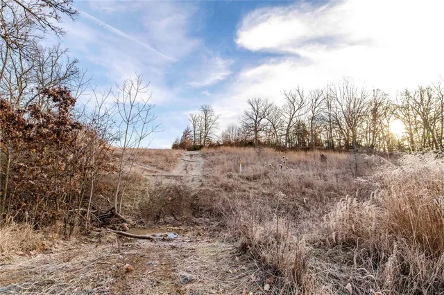 $530,000 | 0 Pike 132, Bowling Green, MO 63334