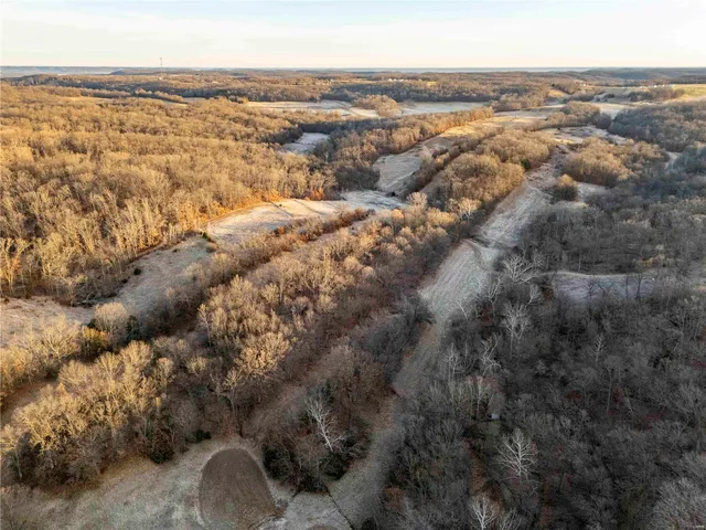 $530,000 | 0 Pike 132, Bowling Green, MO 63334