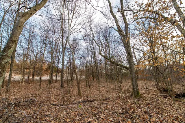 $530,000 | 0 Pike 132, Bowling Green, MO 63334