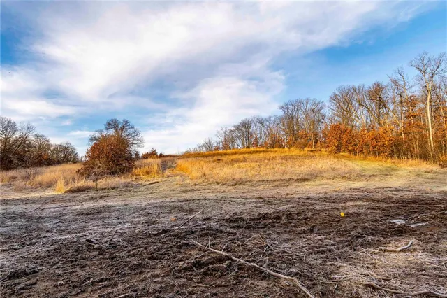 $530,000 | 0 Pike 132, Bowling Green, MO 63334