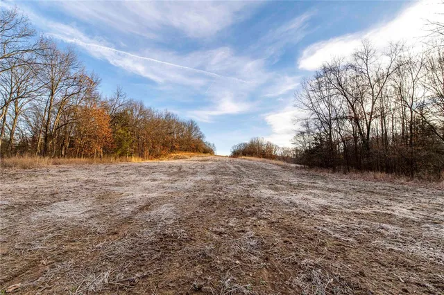 $530,000 | 0 Pike 132, Bowling Green, MO 63334