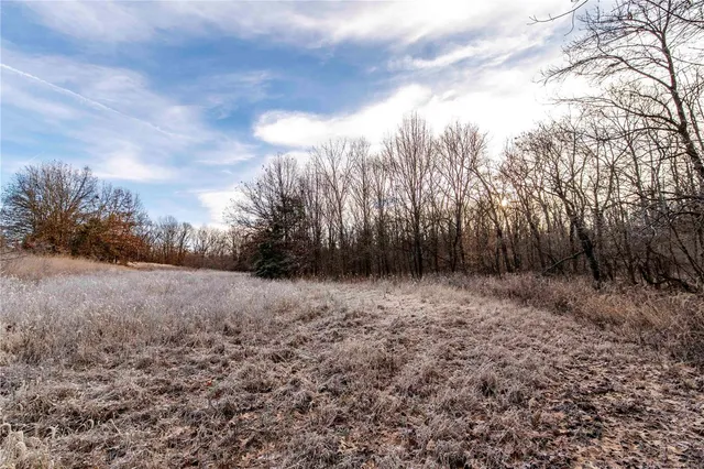 $530,000 | 0 Pike 132, Bowling Green, MO 63334