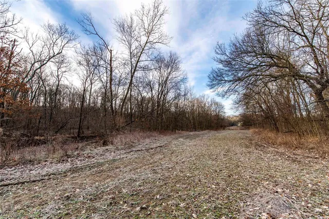 $530,000 | 0 Pike 132, Bowling Green, MO 63334