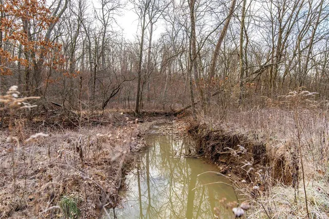 $530,000 | 0 Pike 132, Bowling Green, MO 63334