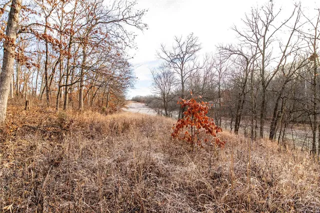 $530,000 | 0 Pike 132, Bowling Green, MO 63334