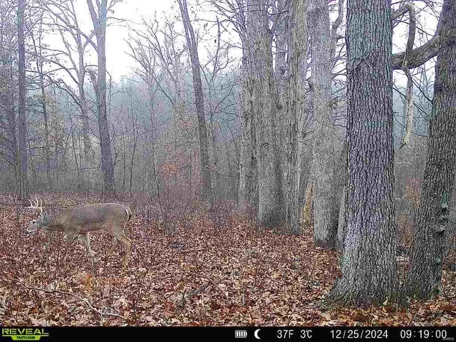 $530,000 | 0 Pike 132, Bowling Green, MO 63334