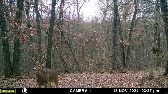 $530,000 | 0 Pike 132, Bowling Green, MO 63334