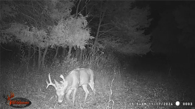 $530,000 | 0 Pike 132, Bowling Green, MO 63334