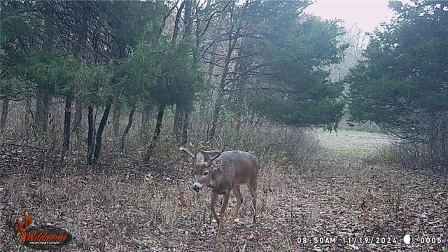 $530,000 | 0 Pike 132, Bowling Green, MO 63334