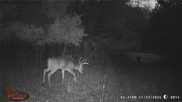 $530,000 | 0 Pike 132, Bowling Green, MO 63334