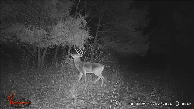 $530,000 | 0 Pike 132, Bowling Green, MO 63334