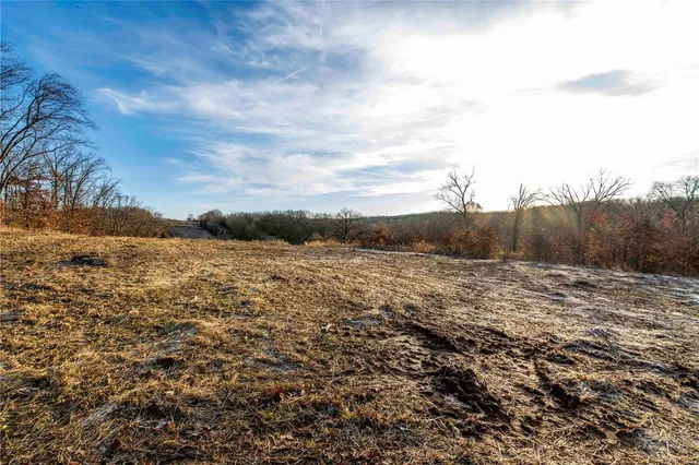 $530,000 | 0 Pike 132, Bowling Green, MO 63334