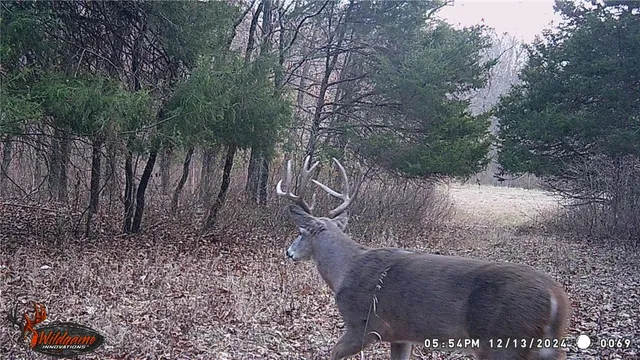 $530,000 | 0 Pike 132, Bowling Green, MO 63334