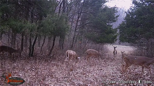 $530,000 | 0 Pike 132, Bowling Green, MO 63334