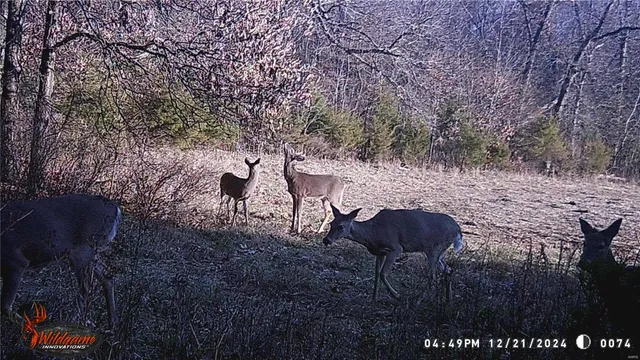 $530,000 | 0 Pike 132, Bowling Green, MO 63334