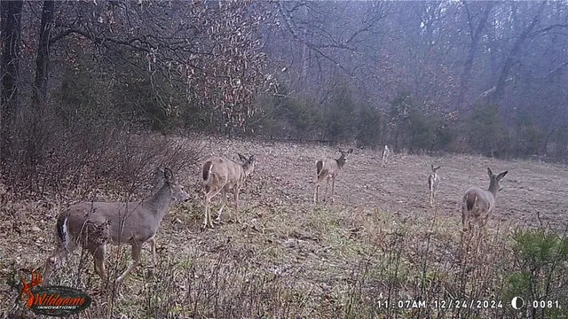 $530,000 | 0 Pike 132, Bowling Green, MO 63334