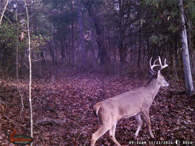 $530,000 | 0 Pike 132, Bowling Green, MO 63334