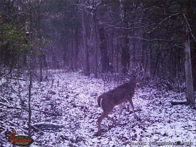 $530,000 | 0 Pike 132, Bowling Green, MO 63334