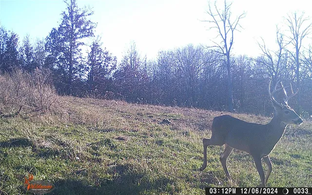 $530,000 | 0 Pike 132, Bowling Green, MO 63334