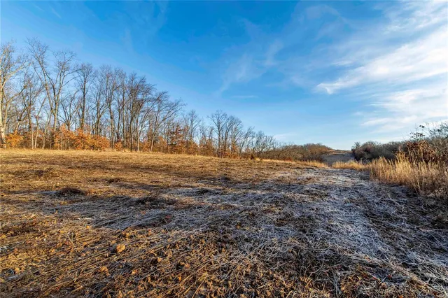 $530,000 | 0 Pike 132, Bowling Green, MO 63334