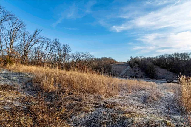 $530,000 | 0 Pike 132, Bowling Green, MO 63334