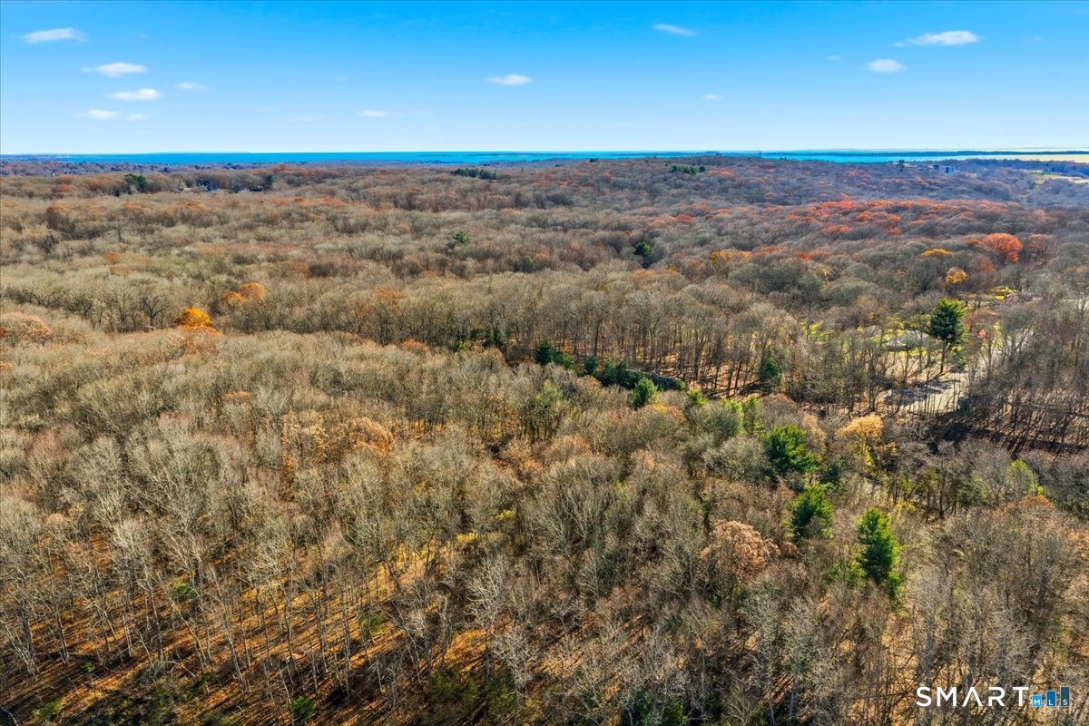 351 Flanders Road Groton, CT 06340 - Photo 17 of 19 a view of a city with lush green forest