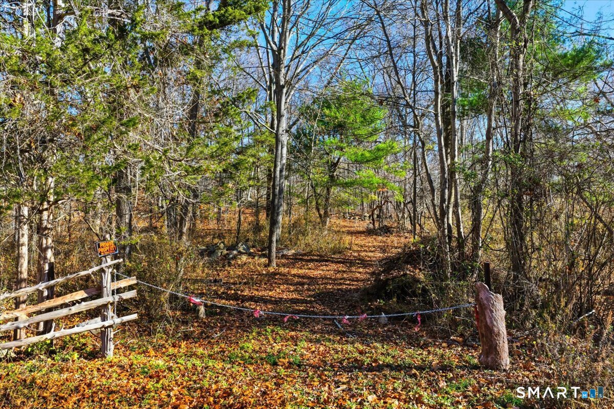 351 Flanders Road Groton, CT 06340 - Photo 4 of 19 a view of yard