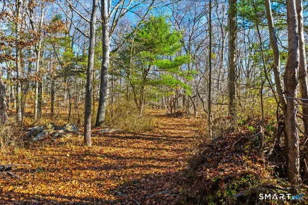 a view of a yard with large trees