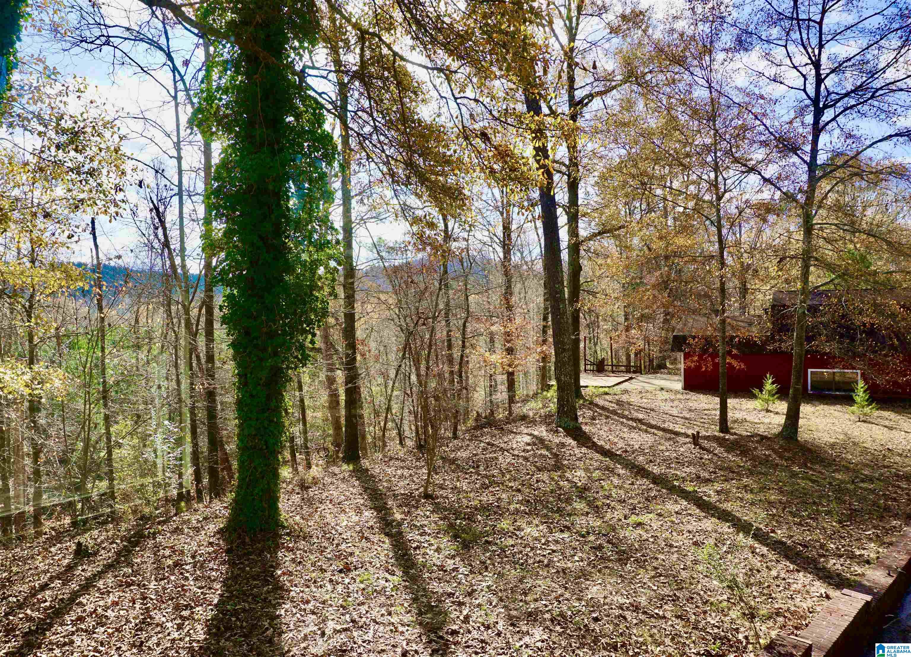 816 Pine Ridge Road Wellington, AL 36279 - Photo 36 of 71