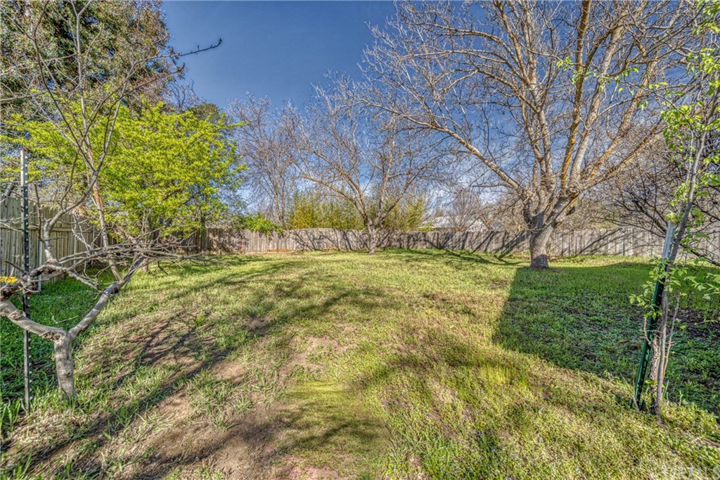 704 Miller Avenue Chico, CA 95928 - Photo 32 of 38 a view of yard with green space