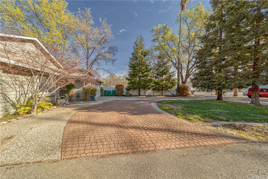 704 Miller Avenue Chico, CA 95928 - Photo 36 of 38 a view of road with yard and trees
