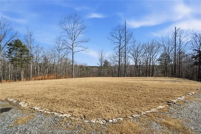 a view of a yard with a tree