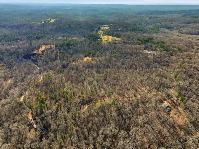 a view of a backyard with large trees