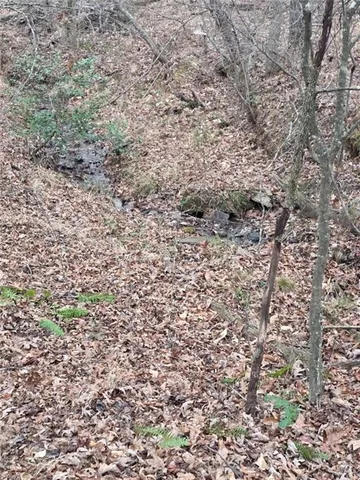 a view of a yard with trees