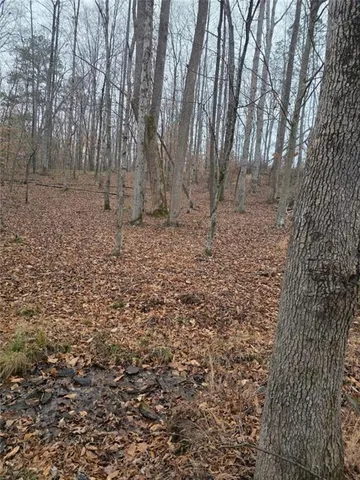 $749,900 | 300 Burbano Creekside Landing, Talking Rock, GA 30175