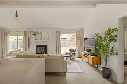 a living room with furniture a potted plant and a fireplace